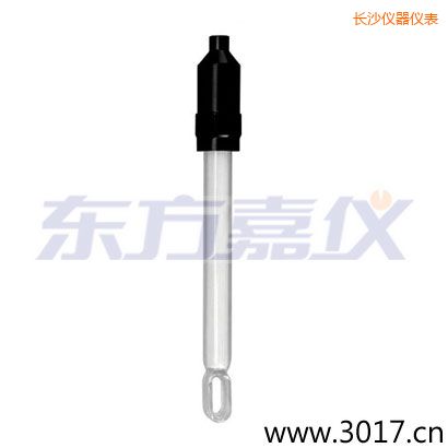 長沙無溫補(bǔ)兩線電導(dǎo)率電極