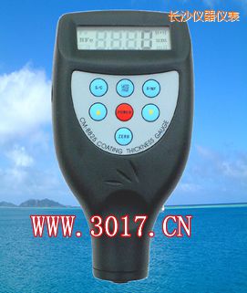 長(zhǎng)沙鐵基涂層測(cè)厚儀