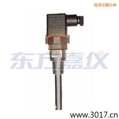 菏澤含有溫度的兩線(xiàn)電導(dǎo)率電極