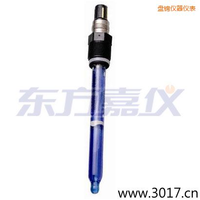 盤(pán)錦測(cè)純水,超純水 PH電極