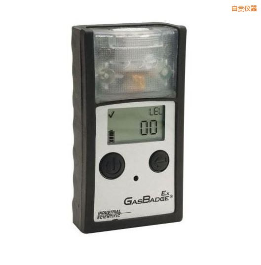 自貢單一可燃?xì)怏w檢測(cè)儀