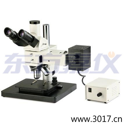 ���I(y��)�z�y(c��)�@΢�R